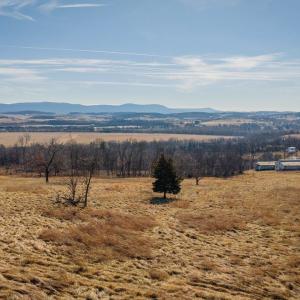 Photo #34 of 15854 FORESTVILLE RD, TIMBERVILLE, VA 12.3 acres