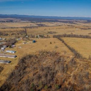 Photo #20 of 15854 FORESTVILLE RD, TIMBERVILLE, VA 12.3 acres