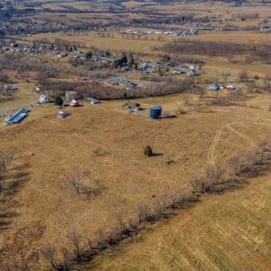 Photo #15 of 15854 FORESTVILLE RD, TIMBERVILLE, VA 12.3 acres