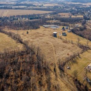 Photo #13 of 15854 FORESTVILLE RD, TIMBERVILLE, VA 12.3 acres