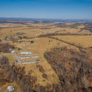 Photo #22 of 15854 FORESTVILLE RD, TIMBERVILLE, VA 12.3 acres