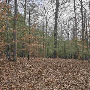 Photo #2 of 5 RUNAWAY LN, STANARDSVILLE, VA 2.0 acres