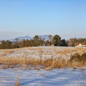 Photo #13 of TBD BRIAR CREEK CIR, WEYERS CAVE, VA 20.2 acres