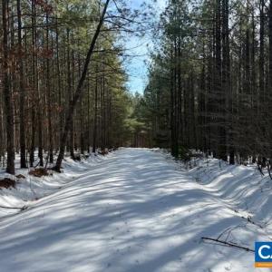 Photo #2 of REDBIRD LN, GLADSTONE, VA 186.4 acres