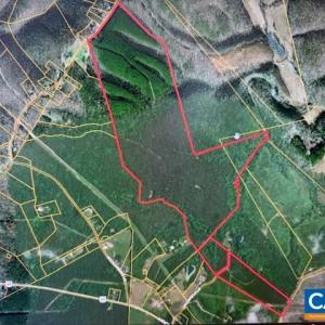 Photo #7 of REDBIRD DR, GLADSTONE, VA 186.4 acres