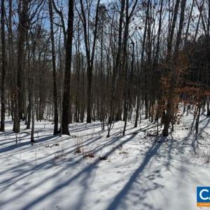 Photo #1 of REDBIRD DR, GLADSTONE, VA 186.4 acres
