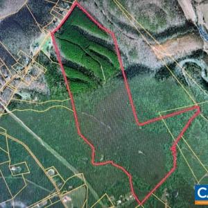 Photo #4 of REDBIRD DR, GLADSTONE, VA 186.4 acres