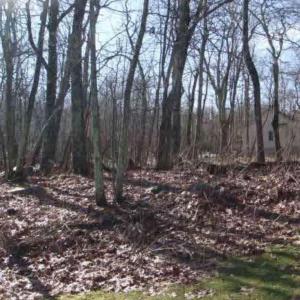 Photo #3 of lot 6 DEVILS BEND CT, NELLYSFORD, VA 0.2 acres
