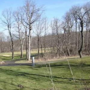 Photo #1 of lot 6 DEVILS BEND CT, NELLYSFORD, VA 0.2 acres