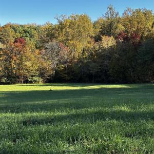 Photo #8 of TBD Lot 56G TURKEY RIDGE RD, STANARDSVILLE, VA 2.0 acres