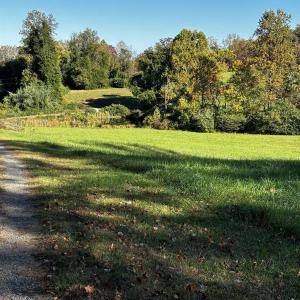 Photo #7 of TBD Lot 56G TURKEY RIDGE RD, STANARDSVILLE, VA 2.0 acres