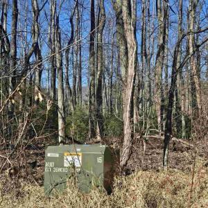 Photo #6 of TBD Lot 56G TURKEY RIDGE RD, STANARDSVILLE, VA 2.0 acres