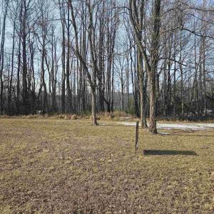 Photo #4 of TBD Lot 56G TURKEY RIDGE RD, STANARDSVILLE, VA 2.0 acres