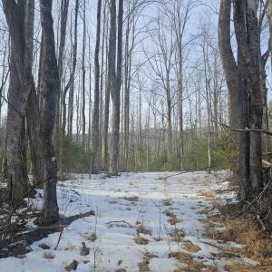 Photo #1 of TBD Lot 56G TURKEY RIDGE RD, STANARDSVILLE, VA 2.0 acres