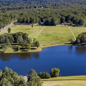 Photo #10 of LOT 4 MARTIN KINGS RD, CHARLOTTESVILLE, VA 6.2 acres