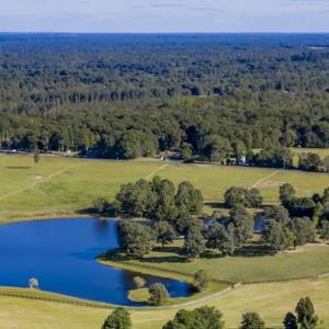 Photo #8 of LOT 5 THOMAS JEFFERSON PKWY, CHARLOTTESVILLE, VA 6.4 acres