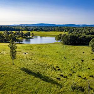 Photo #4 of LOT 5 THOMAS JEFFERSON PKWY, CHARLOTTESVILLE, VA 6.4 acres