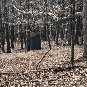 Photo #29 of TBD DOGWOOD DR, MONTEREY, VA 5.4 acres