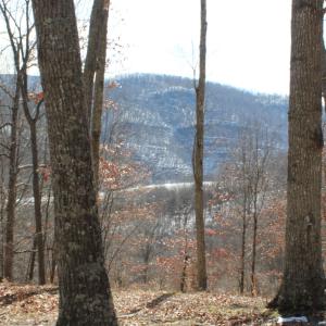 Photo #10 of TBD DOGWOOD DR, MONTEREY, VA 5.4 acres