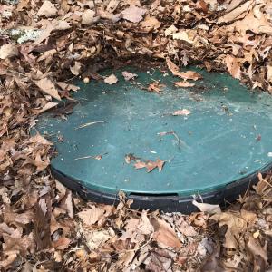 Photo #28 of TBD DOGWOOD DR, MONTEREY, VA 5.4 acres