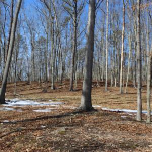 Photo #12 of TBD DOGWOOD DR, MONTEREY, VA 5.4 acres