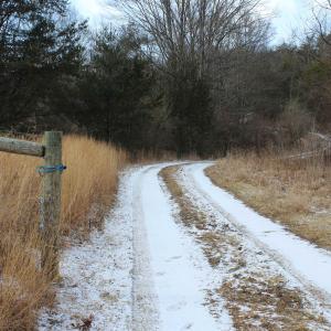 Photo #3 of TBD DOGWOOD DR, MONTEREY, VA 5.4 acres