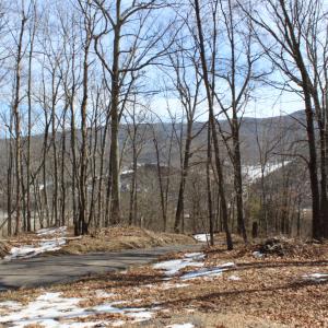 Photo #8 of TBD DOGWOOD DR, MONTEREY, VA 5.4 acres