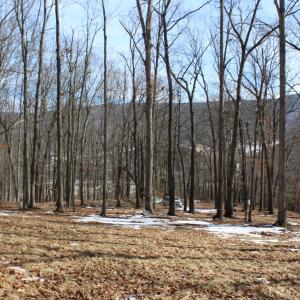 Photo #2 of TBD DOGWOOD DR, MONTEREY, VA 5.4 acres