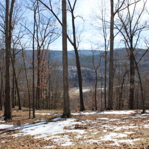 Photo #1 of TBD DOGWOOD DR, MONTEREY, VA 5.4 acres