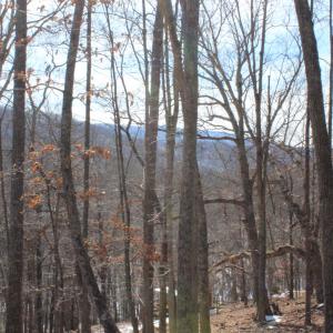 Photo #13 of TBD DOGWOOD DR, MONTEREY, VA 5.4 acres