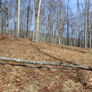 Photo #16 of TBD DOGWOOD DR, MONTEREY, VA 5.4 acres