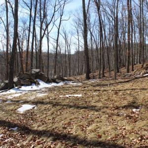 Photo #25 of TBD DOGWOOD DR, MONTEREY, VA 5.4 acres
