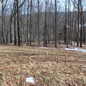 Photo #21 of TBD DOGWOOD DR, MONTEREY, VA 5.4 acres