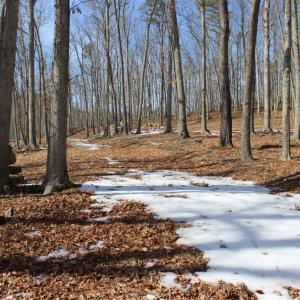 Photo #6 of TBD DOGWOOD DR, MONTEREY, VA 5.4 acres