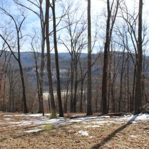 Photo #20 of TBD DOGWOOD DR, MONTEREY, VA 5.4 acres