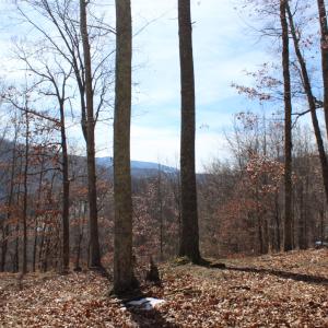 Photo #7 of TBD DOGWOOD DR, MONTEREY, VA 5.4 acres