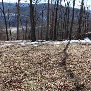 Photo #22 of TBD DOGWOOD DR, MONTEREY, VA 5.4 acres