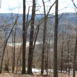 Photo #14 of TBD DOGWOOD DR, MONTEREY, VA 5.4 acres