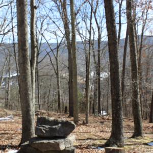 Photo #11 of TBD DOGWOOD DR, MONTEREY, VA 5.4 acres