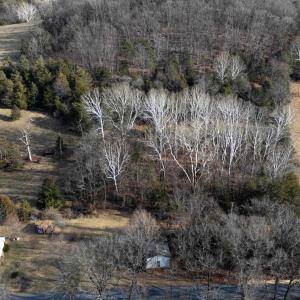 Photo #10 of TBD MOUNTAIN VALLEY RD, KEEZLETOWN, VA 1.8 acres