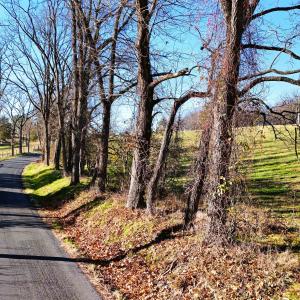 Photo #2 of TBD MOUNTAIN VALLEY RD, KEEZLETOWN, VA 1.8 acres