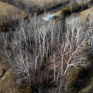 Photo #23 of TBD MOUNTAIN VALLEY RD, KEEZLETOWN, VA 1.8 acres