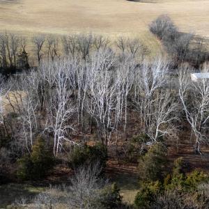 Photo #22 of TBD MOUNTAIN VALLEY RD, KEEZLETOWN, VA 1.8 acres