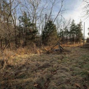 Photo #18 of TBD MOUNTAIN VALLEY RD, KEEZLETOWN, VA 1.8 acres