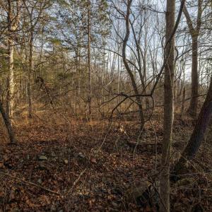 Photo #19 of TBD MOUNTAIN VALLEY RD, KEEZLETOWN, VA 1.8 acres