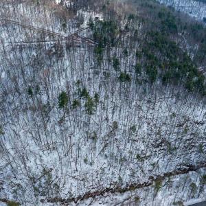 Photo #11 of lot 10 OVERLOOK MOUNTAIN RD, ELKTON, VA 3.6 acres