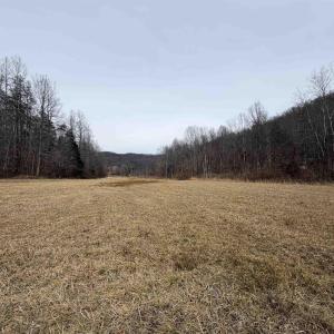 Photo #30 of PERKINS HOLLOW LN, FABER, VA 42.7 acres