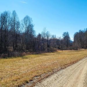 Photo #7 of PERKINS HOLLOW LN, FABER, VA 42.7 acres