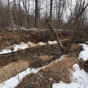 Photo #32 of PERKINS HOLLOW LN, FABER, VA 42.7 acres