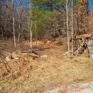 Photo #11 of PERKINS HOLLOW LN, FABER, VA 42.7 acres